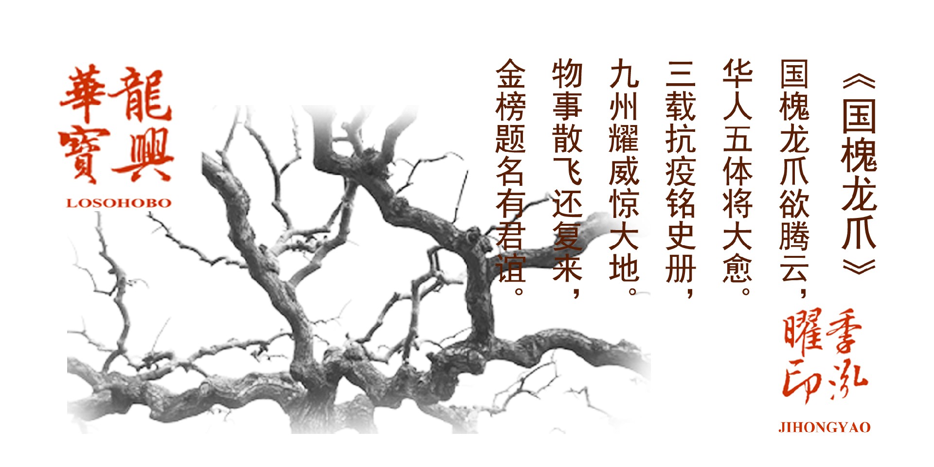 《国槐龙爪》（Guo Huai Long Zhao & The Chinese scholar tree whi