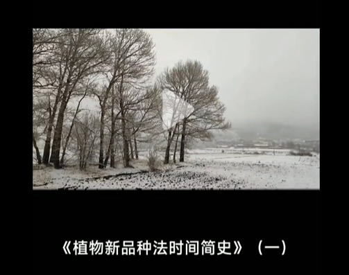 《植物新品种法时间简史》（一）【朗读版】（作者：季智律道）