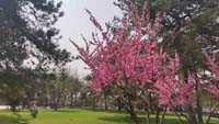 《知识产权法律制度研究》征稿通知（国家知识产权局条法司2022年10月14日）