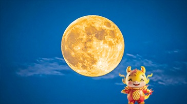 《互联网平台企业涉税信息报送规定》（2025年6月13日国务院第61次常务会议通过）